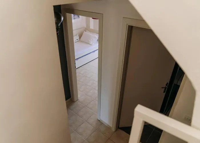 Olion Hébergement de vacances *