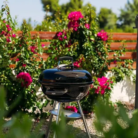 Hébergement de vacances Olion