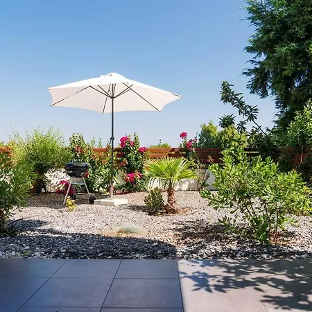 Olion * アフィトス